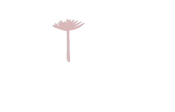 Vinos de la Araucanía